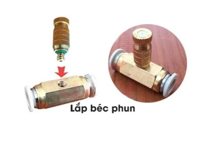 z7239344698677_4389d75c8a045a7f2f454749ee8d393b