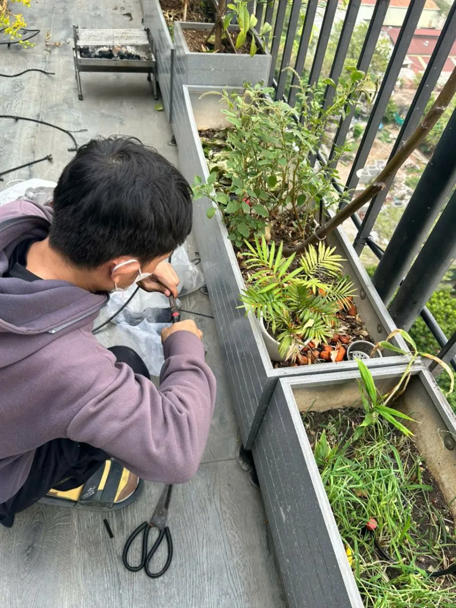 4 Bước Lắp Phun Sương Trọn Gói và Thời Gian Thi Công Từng Quy Mô 1 phun sương tự động12