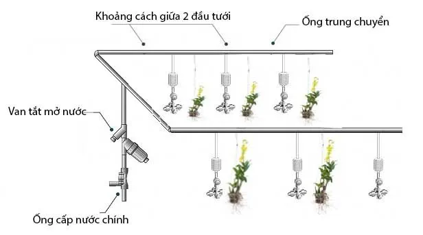 Tại sao khoảng cách béc phun sương không có con số duy nhất 1 tt-mo_20hinh_20tuoi_20phun_20suong